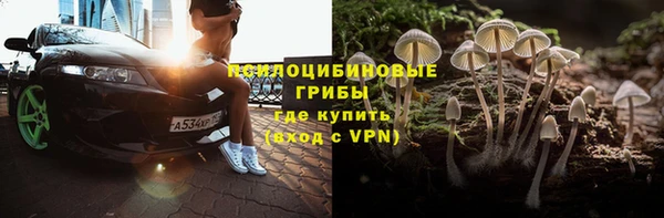 дживик Козельск