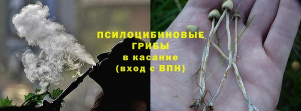 метадон Козловка