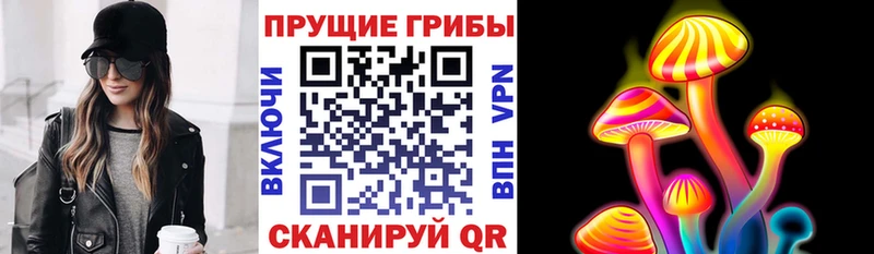 Купить где  Лукоянов  Псилоцибиновые грибы Psilocybe 